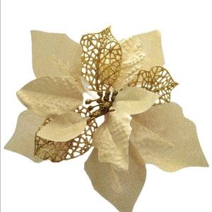 Meet your Posher, Ester